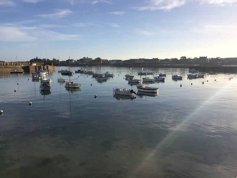 Vieux Port de Roscoff