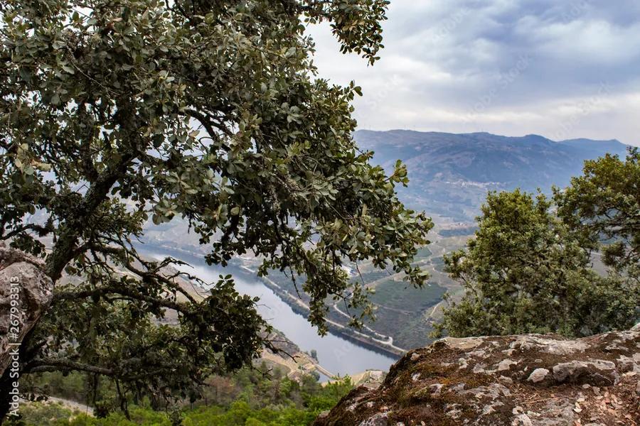 Viewpoint of São Leonardo de Galafura