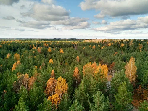 Viidumae Nature Reserve