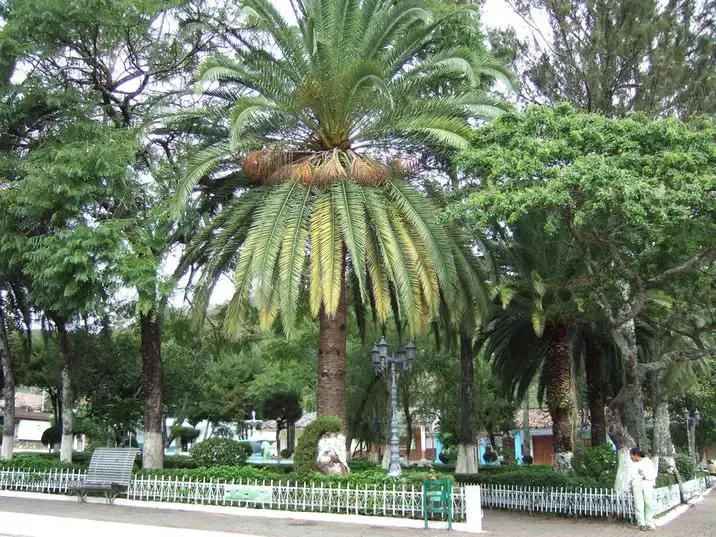 Vilcabamba Plaza