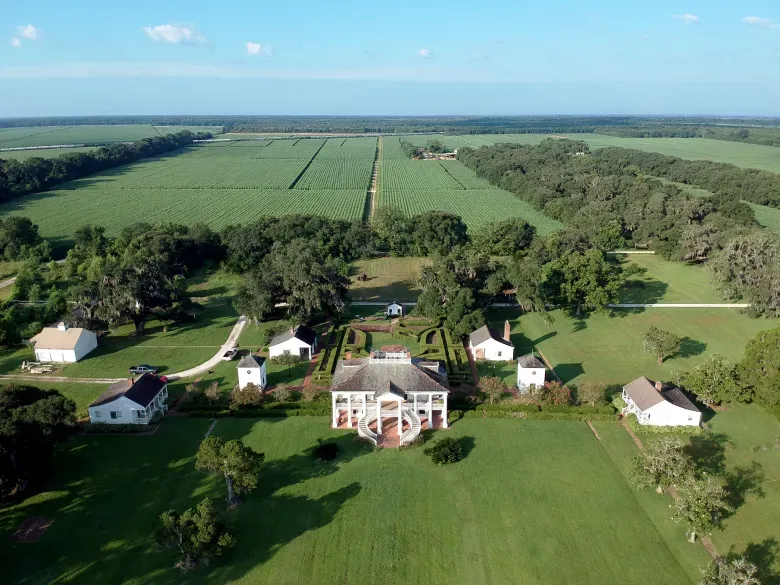Vineland Plantation