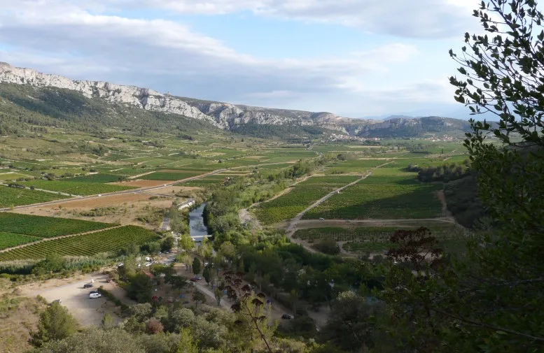 Vineyards around Tautavel