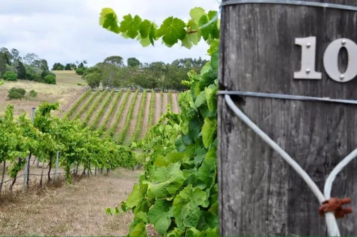 Vintner's Secret Winery