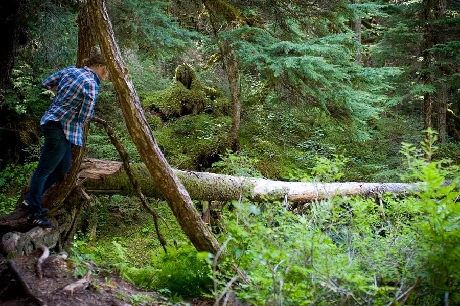 Virgin Creek Falls Trail