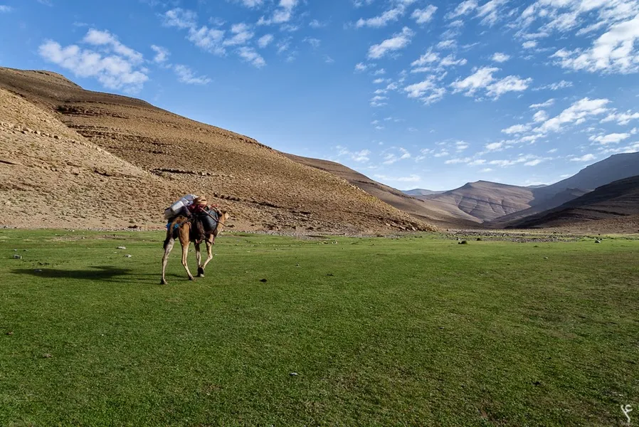 Visit to a Nomad Family