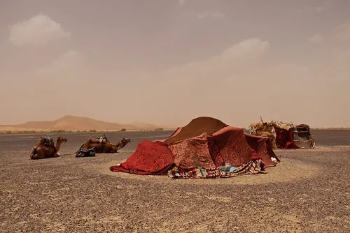 Visit to a Nomad Family at Desert Camp