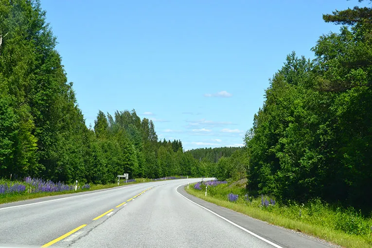 Visulahti