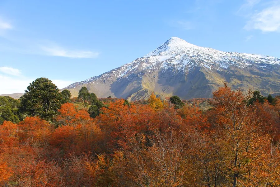 Volcán Lanín