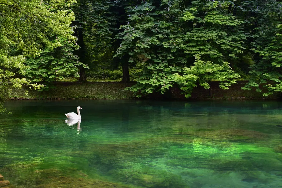 Vrelo Bosne