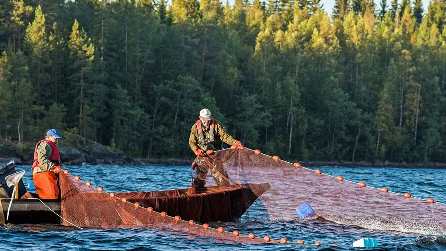 Vuoksi Fishing Park