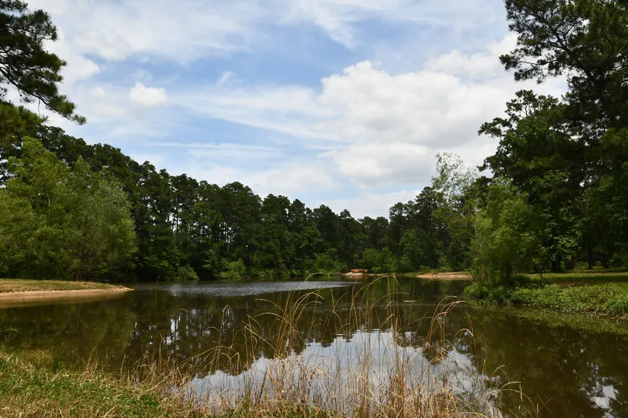 WG Jones State Forest
