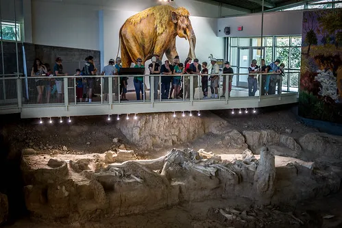 Waco Mammoth National Monument