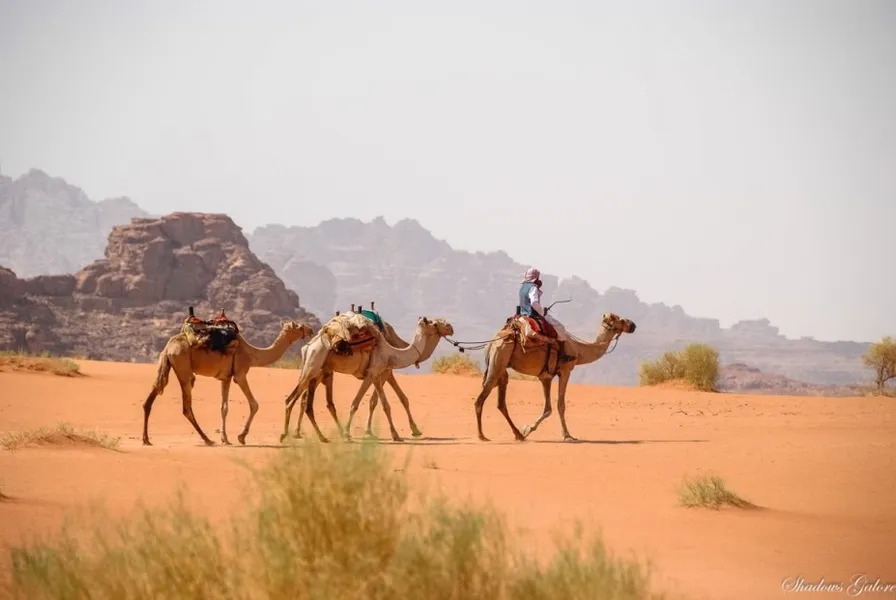 Wadi Rum Train Show