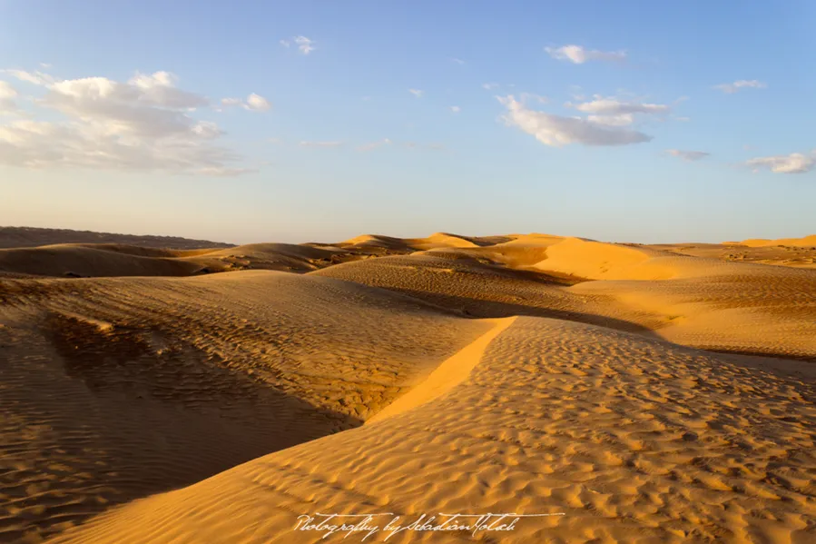 Wahiba Sands (Edge of Desert Access)
