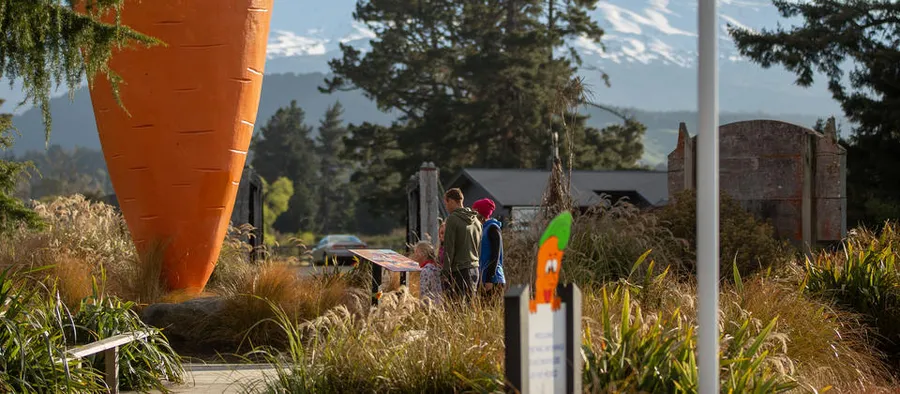 Waitaiki Stream Walk
