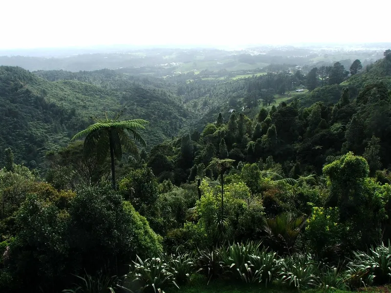 Waitakere Ranges