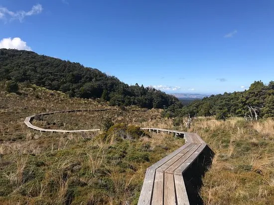 Waitonga Falls Track
