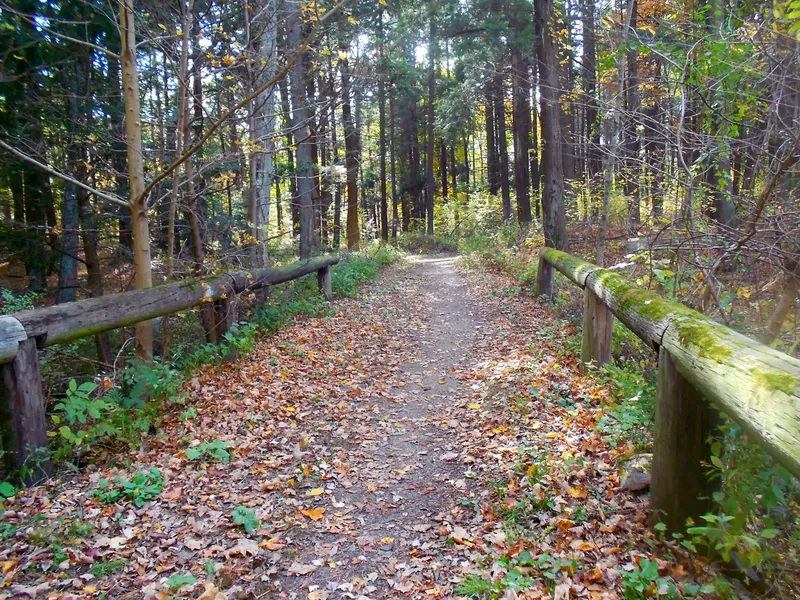 Walker's Woods Trail