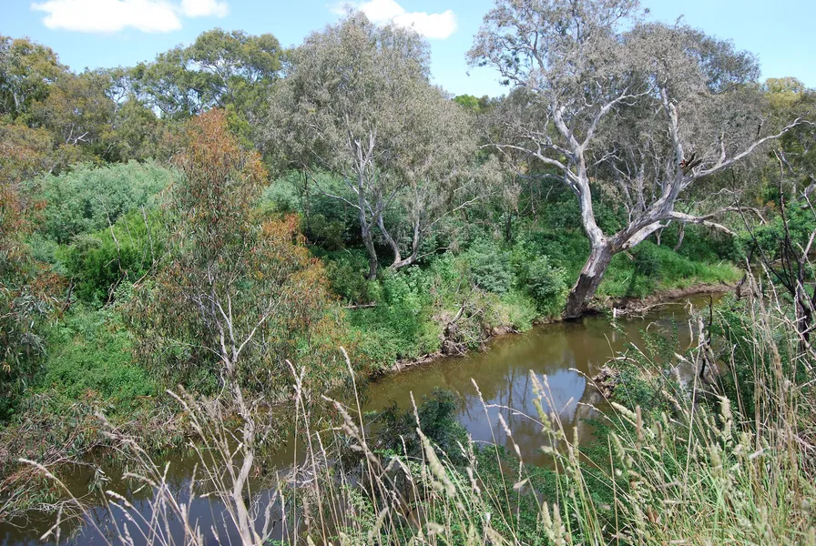 Walker Creek