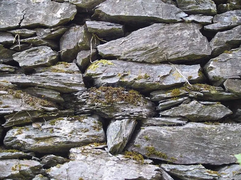 Walls of León
