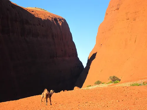 Walpa Gorge