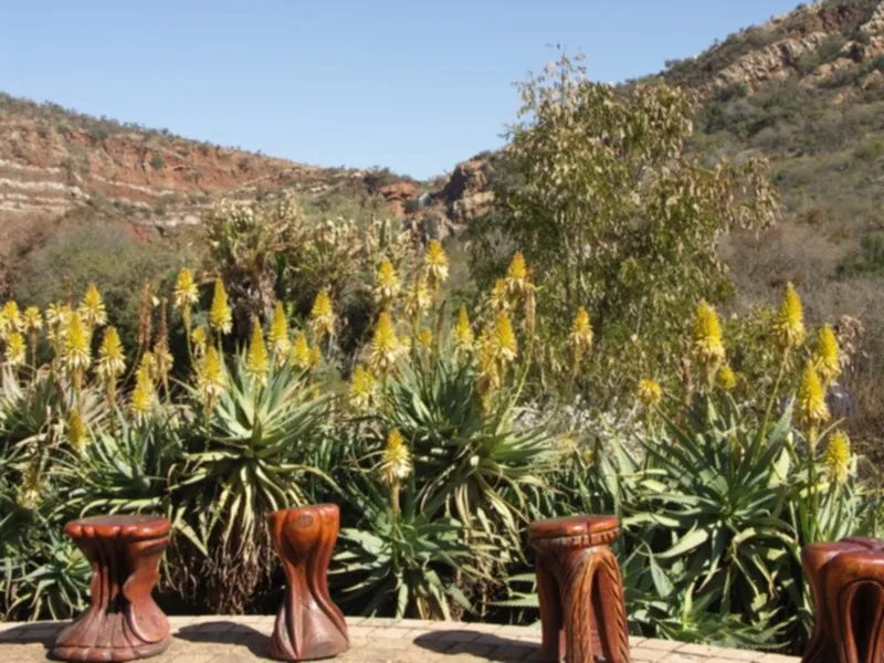 Walter Sisulu National Botanical Garden