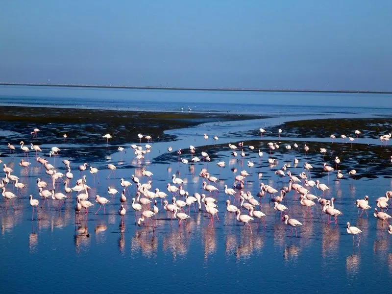 Walvis Bay Lagoon