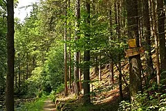 Wanderwege rund um Weitra (Hiking trails around Weitra)