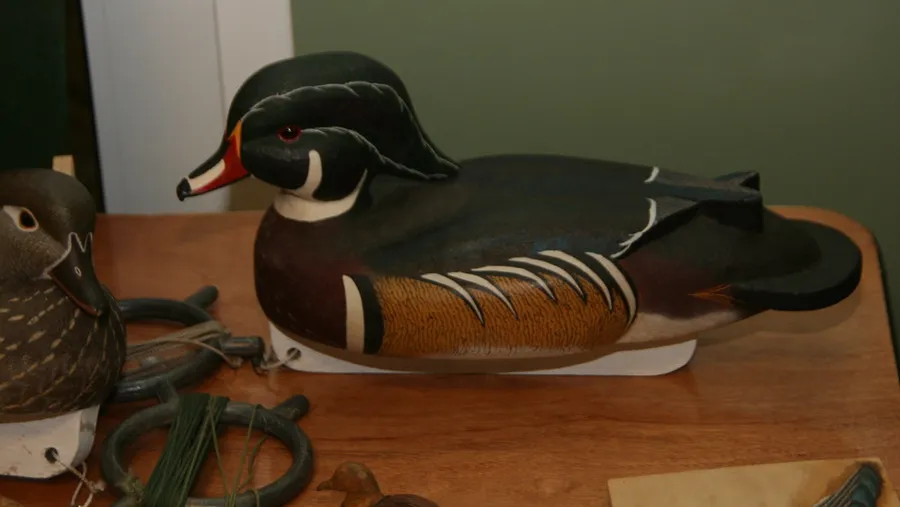 Ward Museum of Wildfowl Art