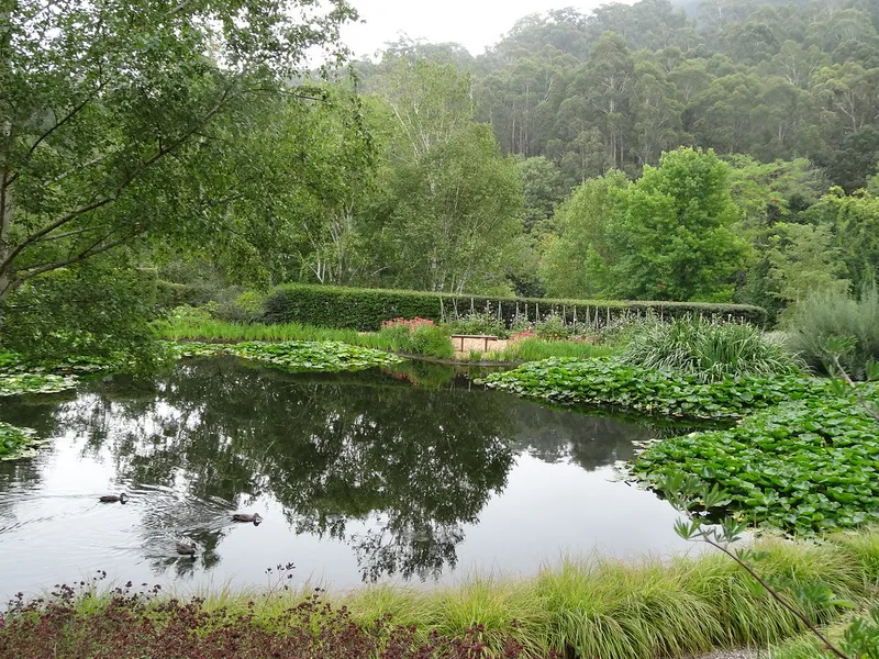 Ward-Meade Botanical Garden