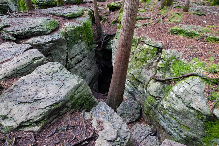 Warsaw Caves Conservation Area and Campground