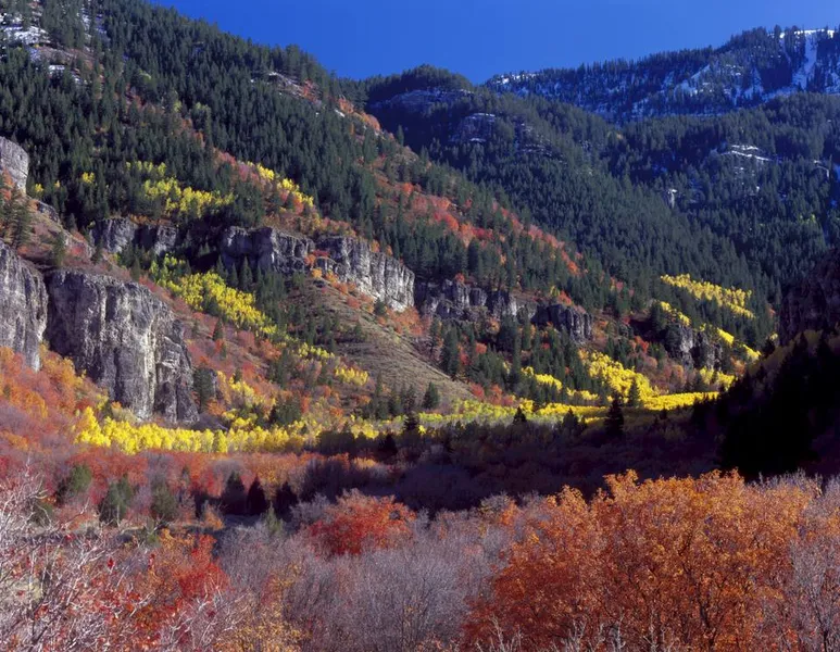 Wasatch Mountain State Park