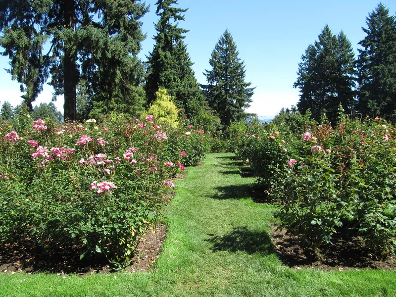 Washington Park
