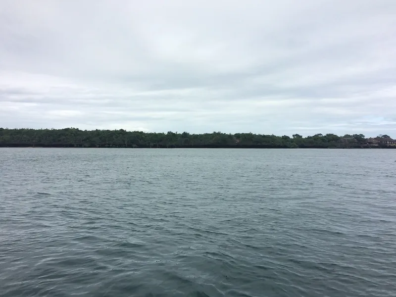 Wasini Island Boardwalk