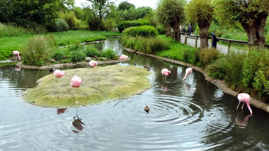 Wasit Wetland Centre