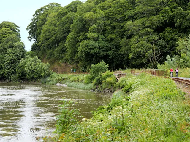 Waterford Greenway
