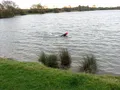 Watermead Country Park