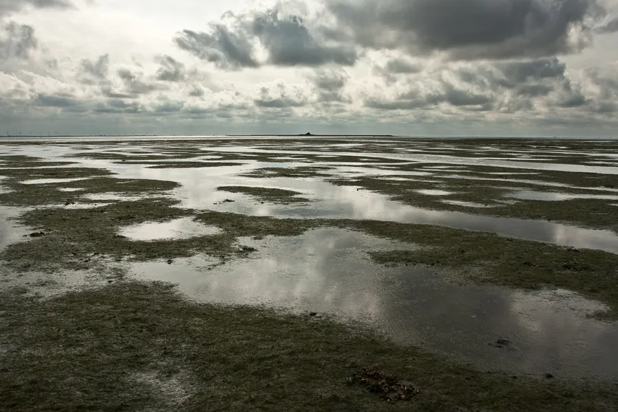 Wattlaufen (Mudflat Hiking)