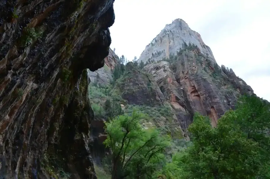Weeping Rock