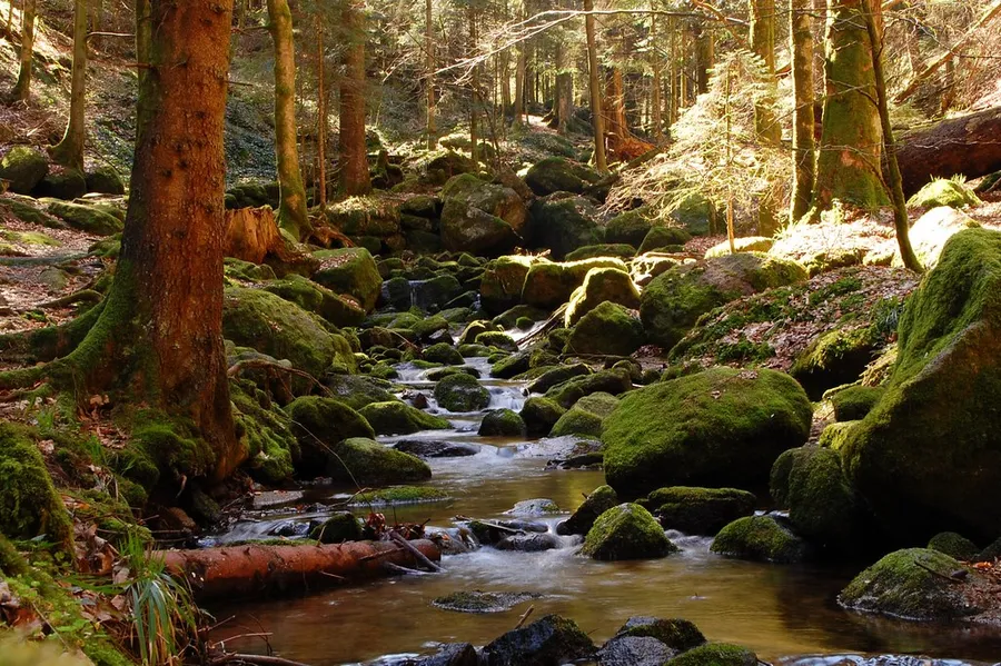 Weinbrunnen Bühlertal
