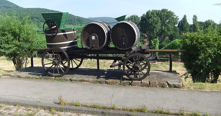 Weinlehrpfad Bad Dürkheim