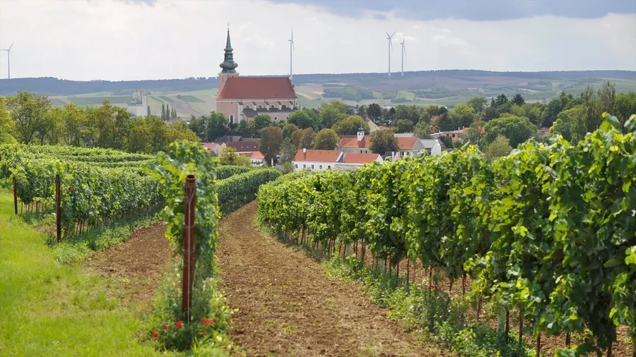 Weinmarkt Poysdorf