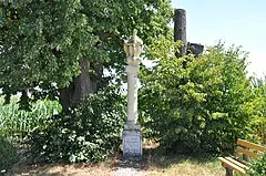 Weinmuseum Moschendorf