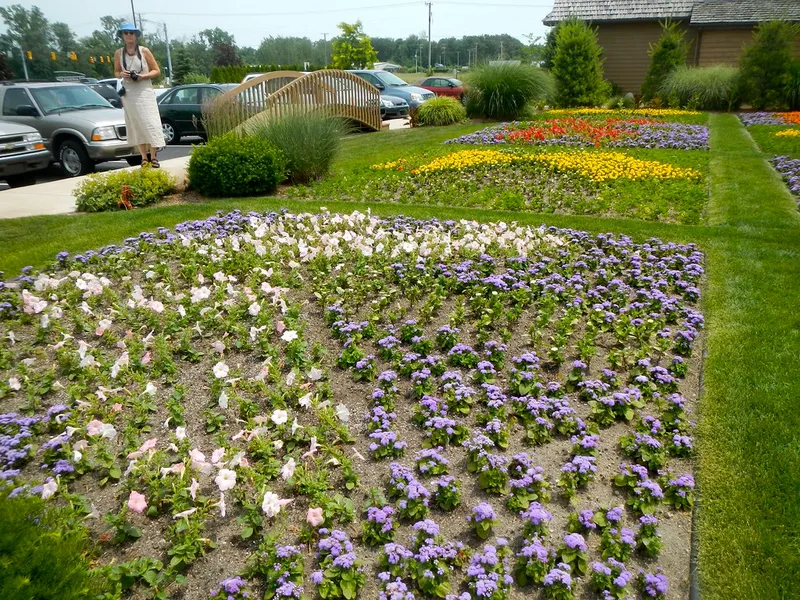 Wellfield Botanic Gardens