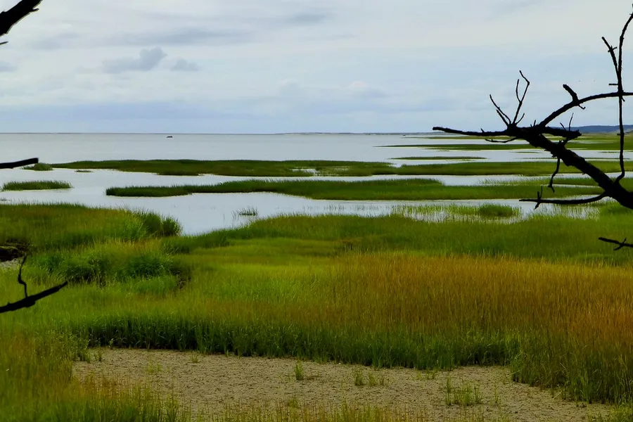 Wellfleet Bay Wildlife Sanctuary