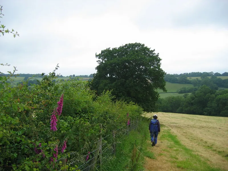 Wenlock Edge