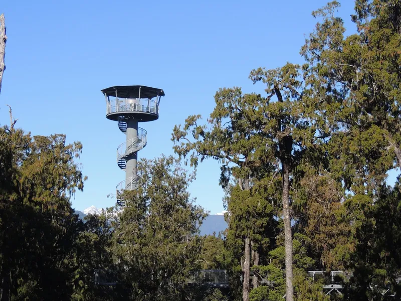 West Coast Treetop Walk & Cafe