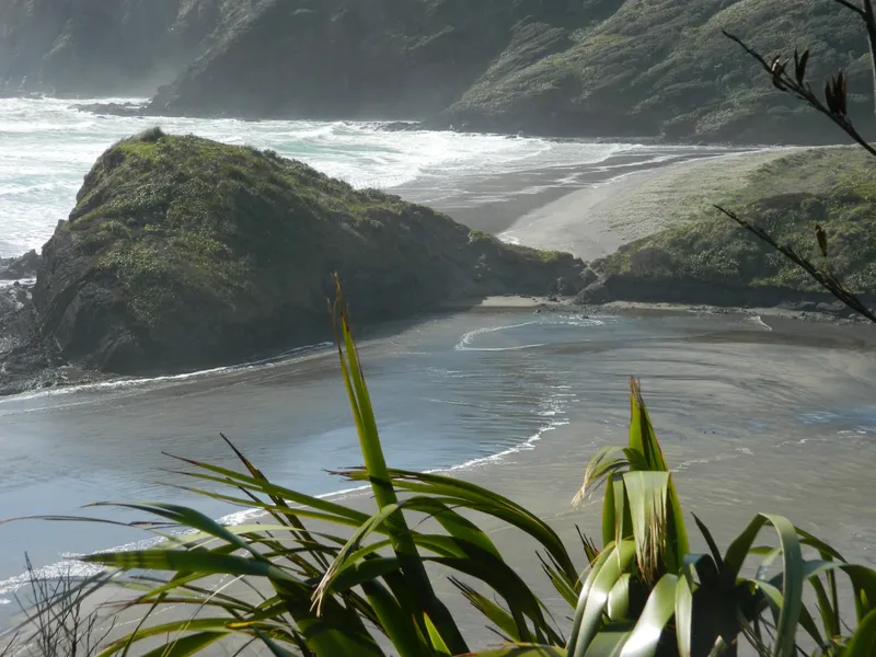 West Coast Wilderness Trail (access point near Ross)