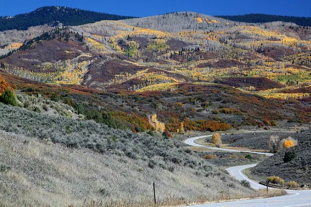 West Elks Scenic Byway