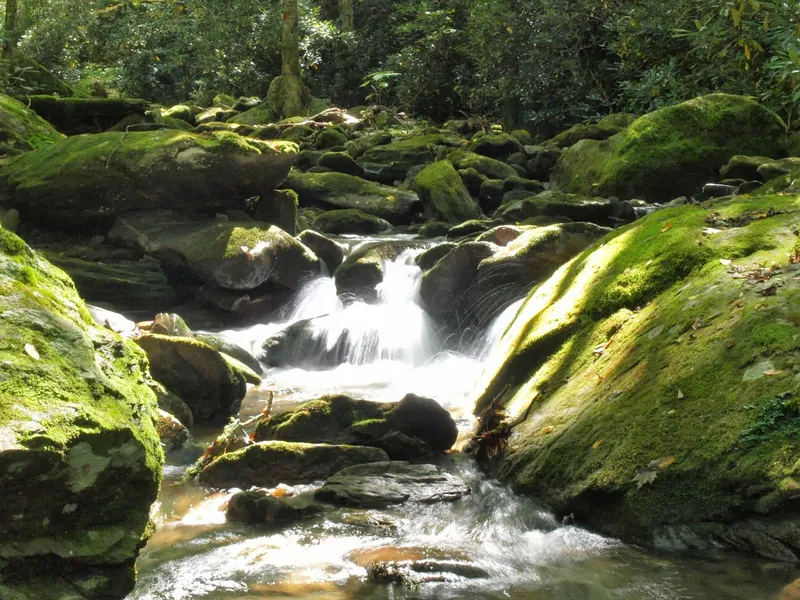 Western North Carolina Nature Center